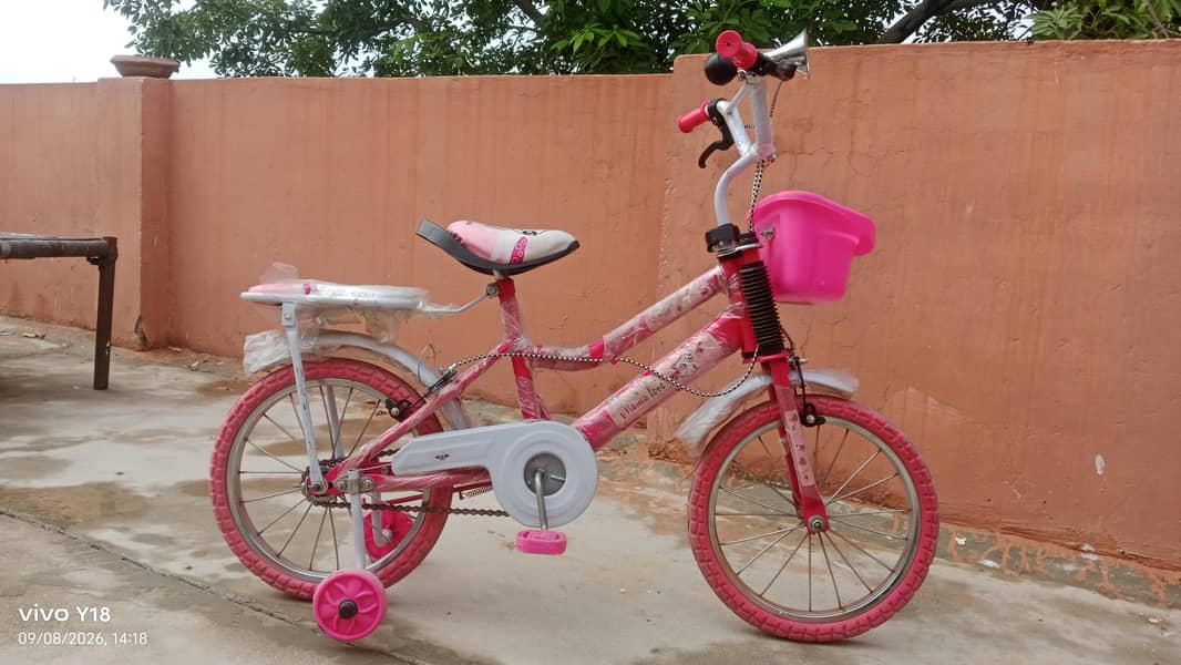 Bicycle  0