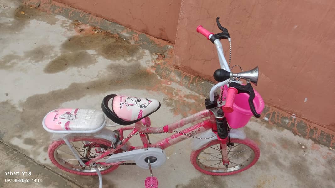 Bicycle  1