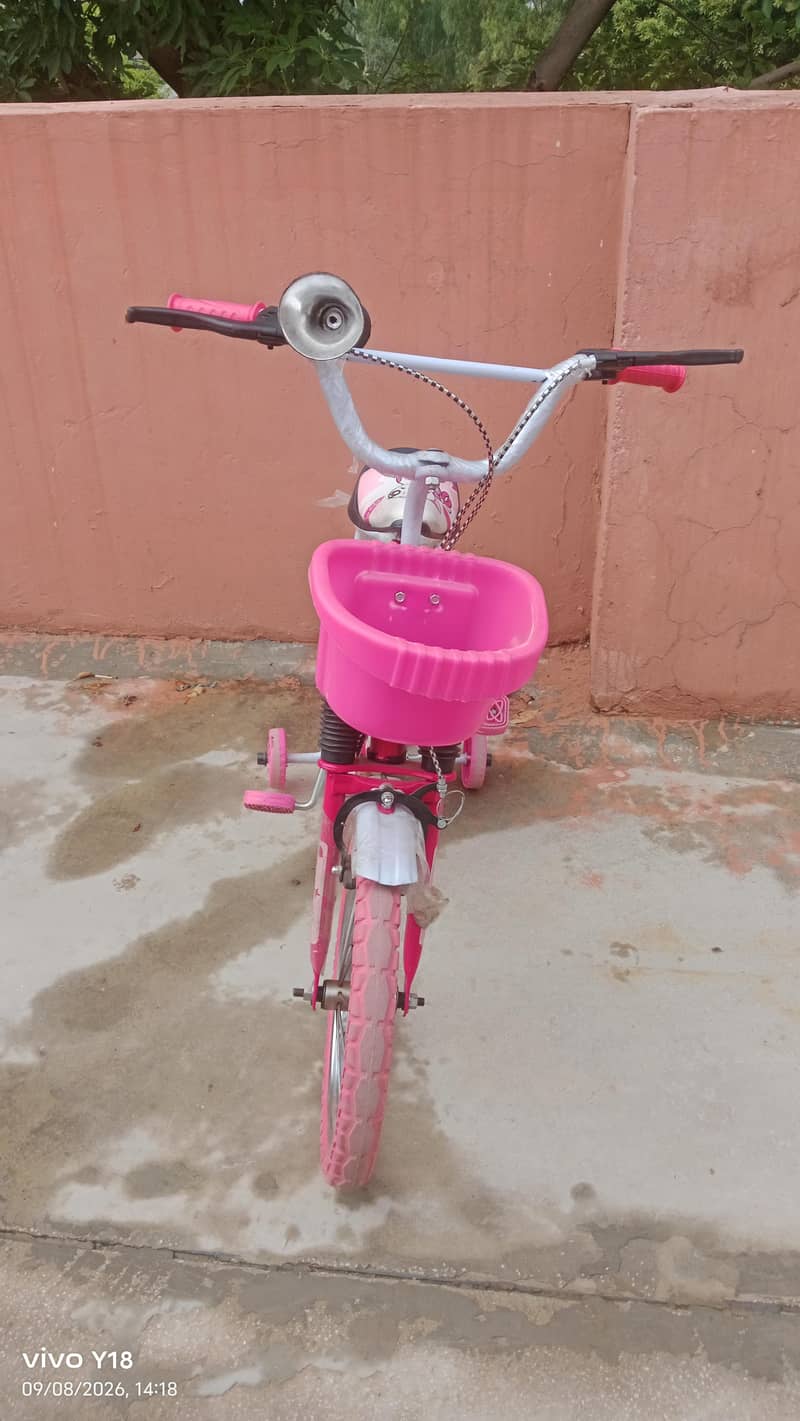 Bicycle  2