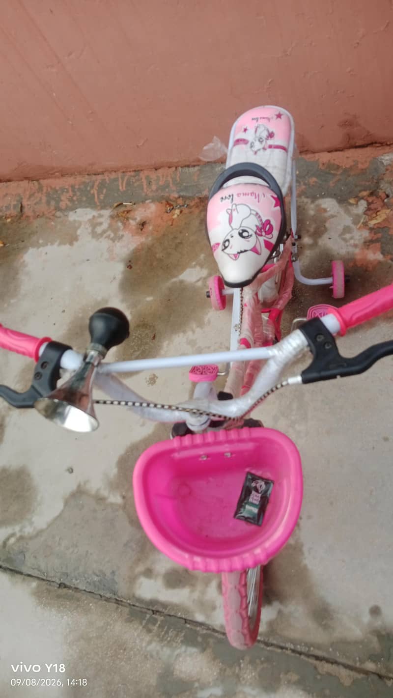 Bicycle  3