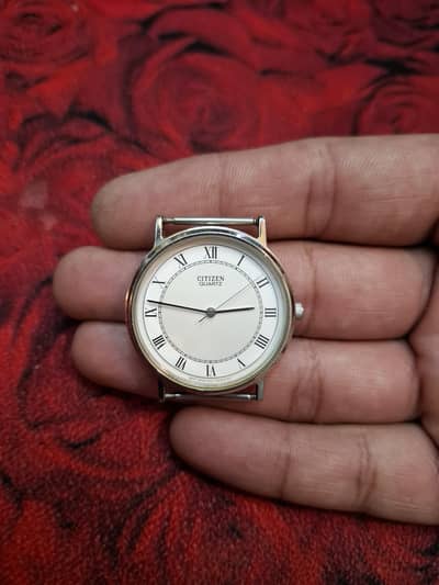Vitange Citizen Men Watch