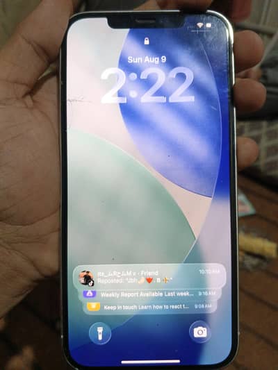 Apple iPhone 12 Pro Max