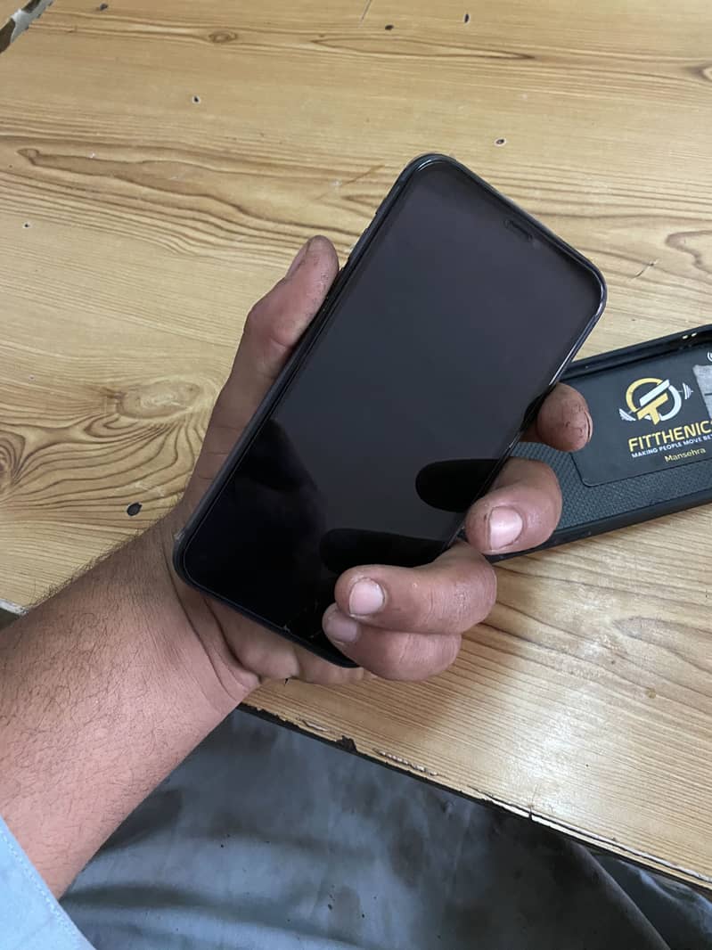 Apple iPhone 11 0