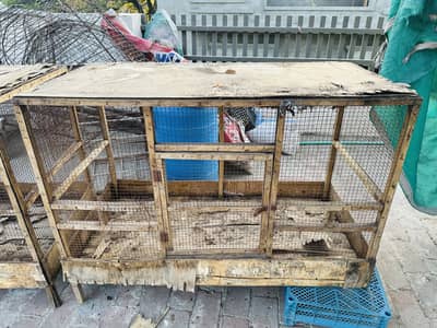 Cage for hens