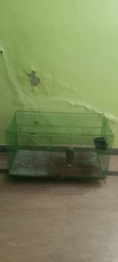 Birds Cage for Sale