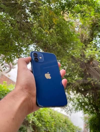Apple iPhone 12