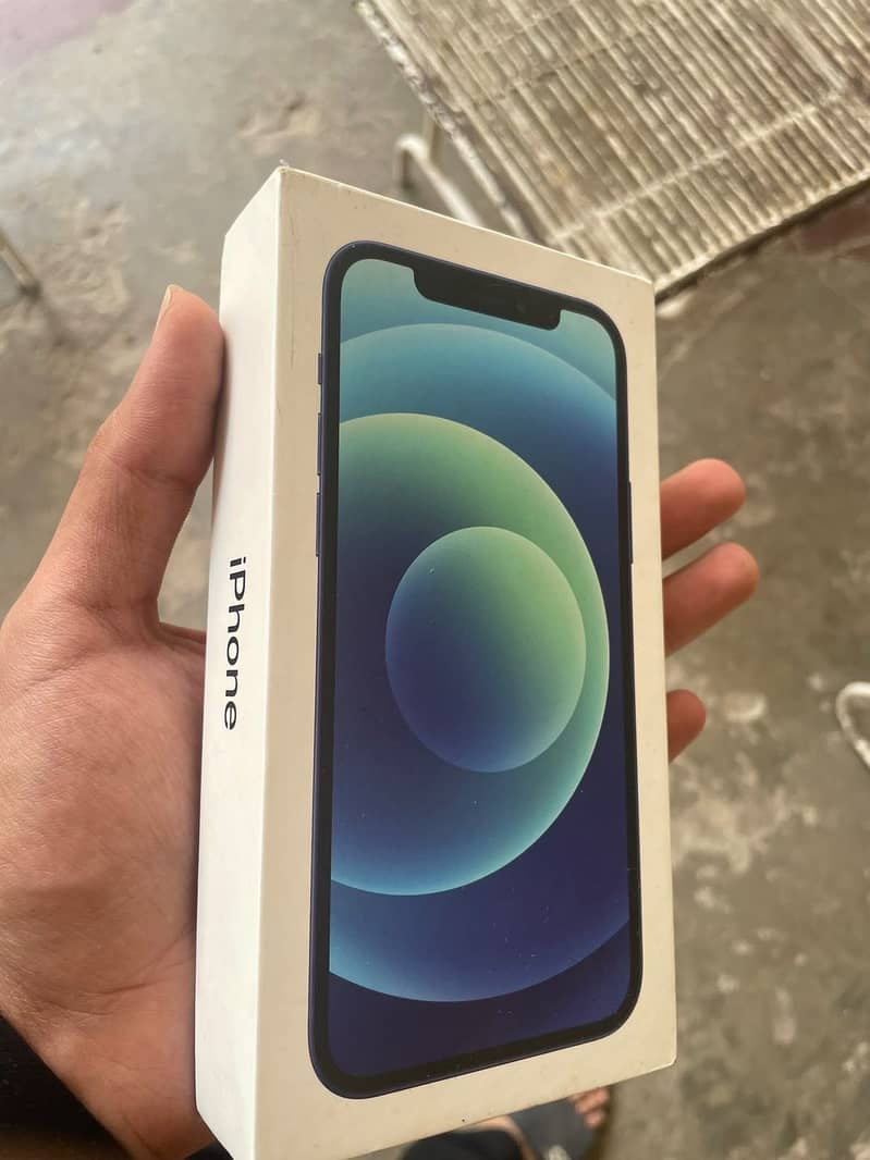 Apple iPhone 12 1