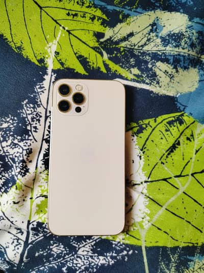 Apple iPhone 12 Pro