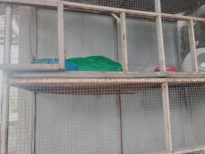cage for sale