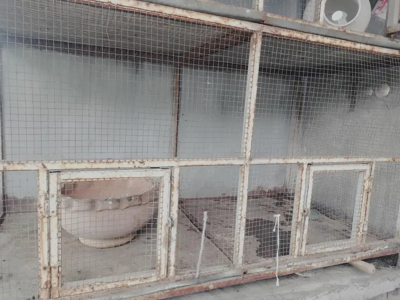cage for sale — photo 2