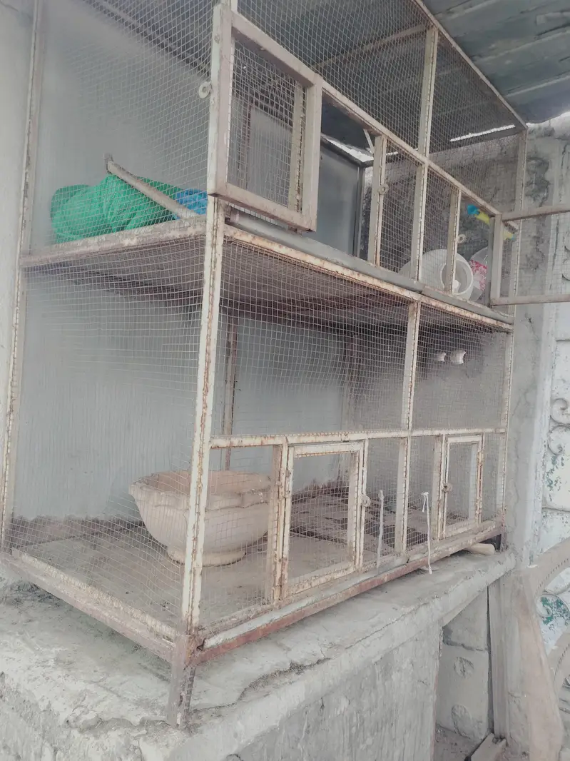cage for sale — photo 4