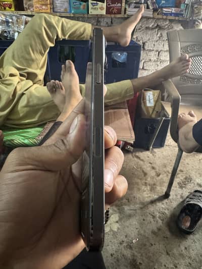 Apple iPhone 13 Pro Max pta