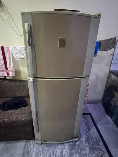 03218415925 dowlance fridge  medium saiz