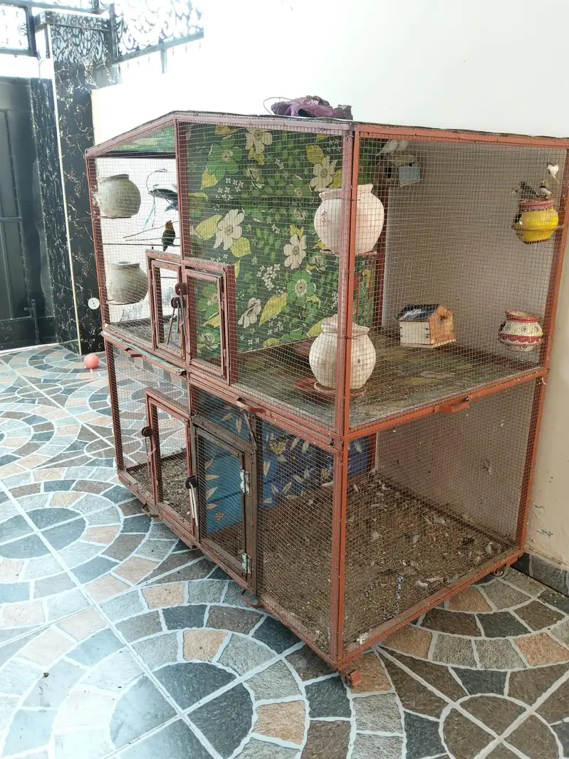 All setup for sale with wooden cage — photo 4