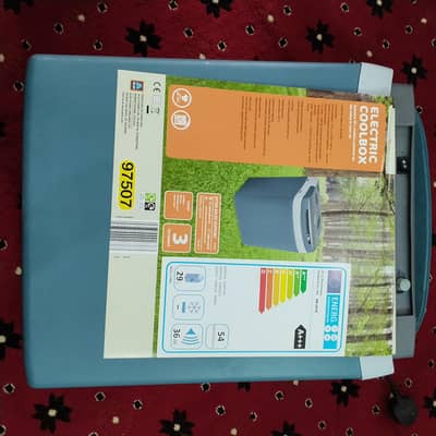 electric cool box 230v or 12v