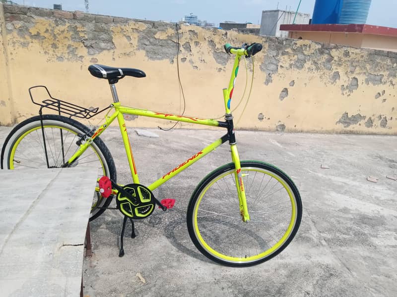 Phoenix cycle 1