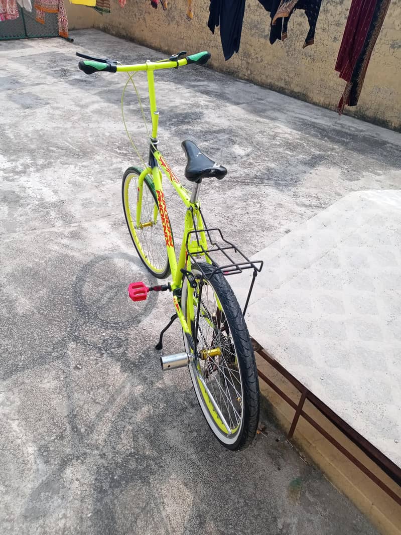 Phoenix cycle 3