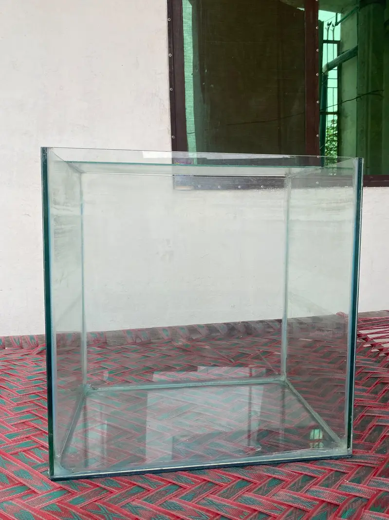 1.5 ft fish tank. — photo 2