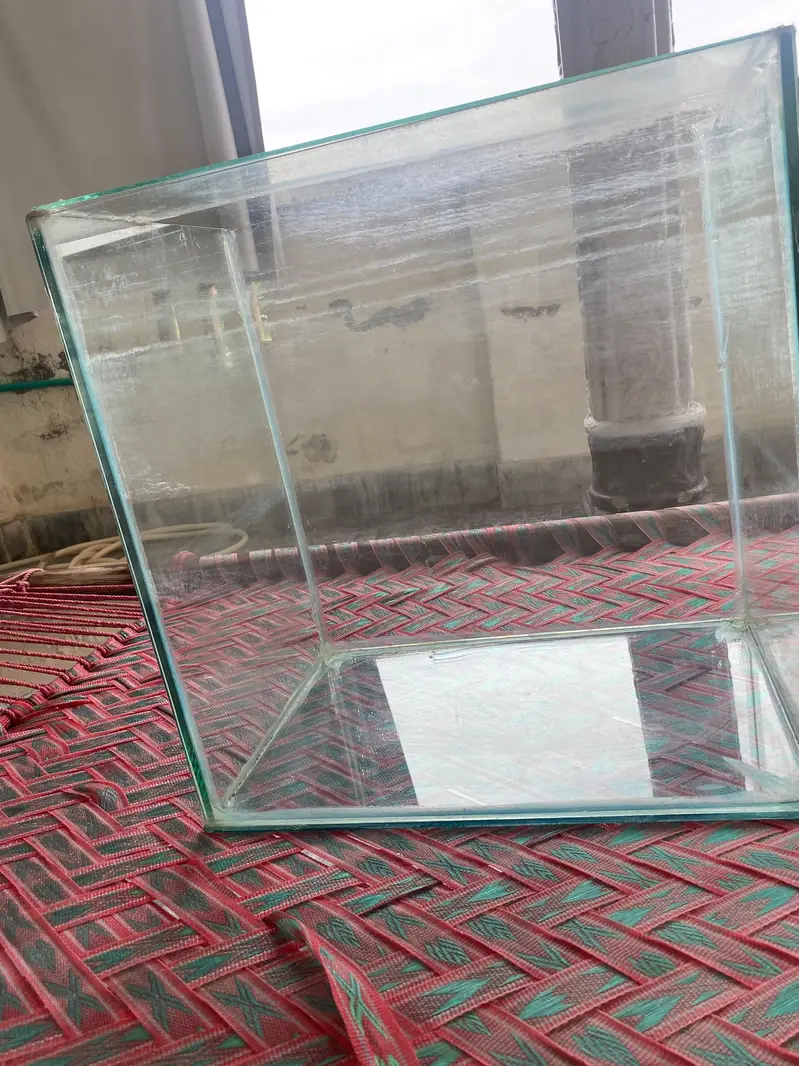 1.5 ft fish tank. — photo 3