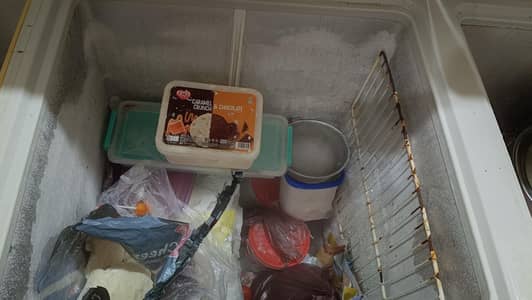 vario line freezer