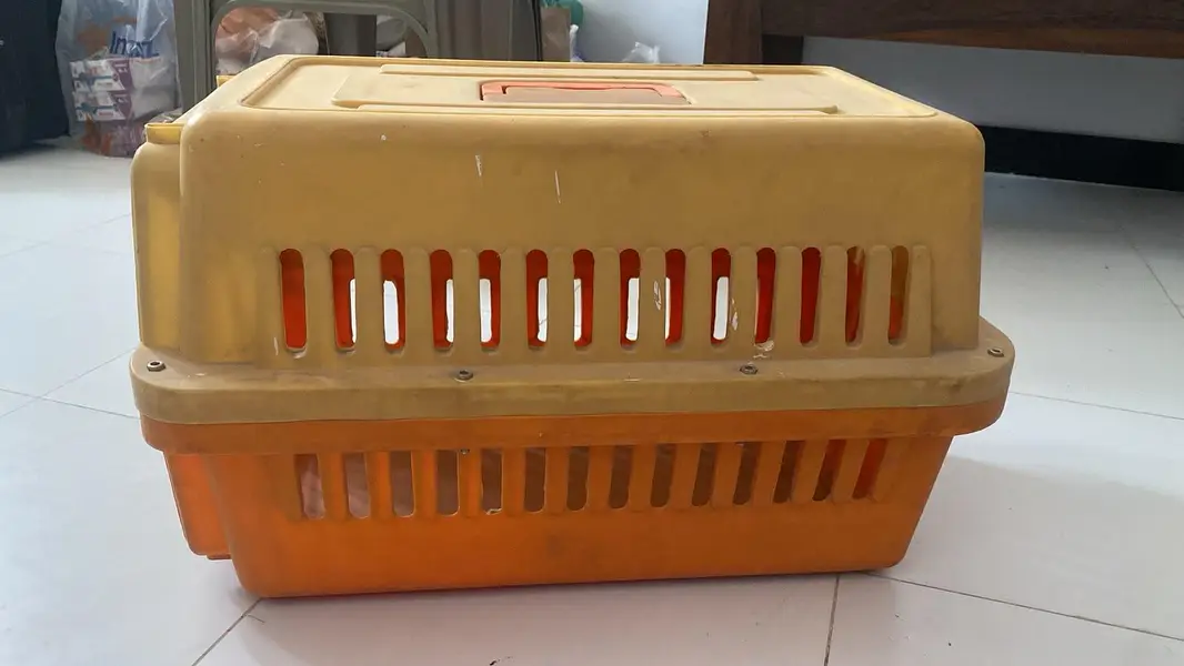 Pet Carrier / Cat-Dog Cage for Sale – Urgent — photo 2