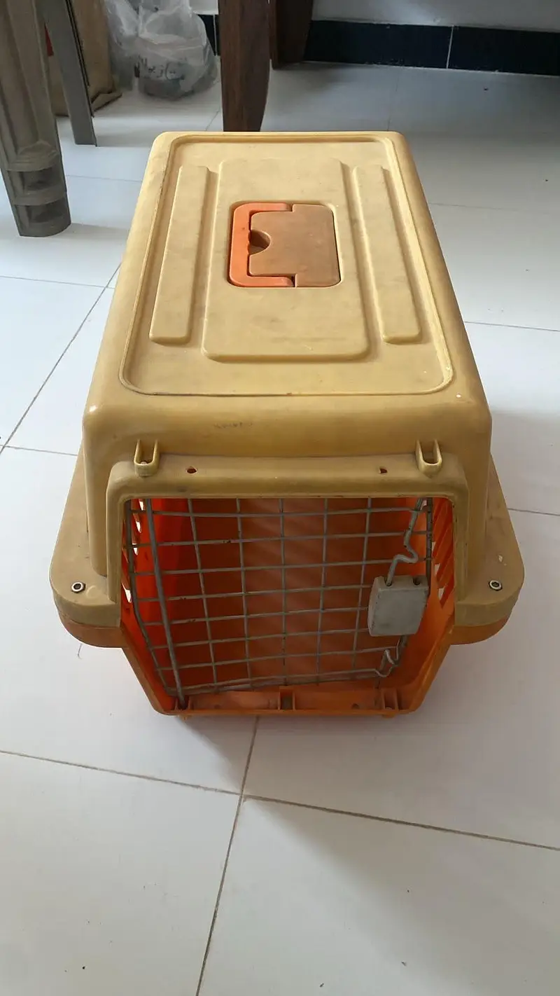 Pet Carrier / Cat-Dog Cage for Sale – Urgent — photo 3