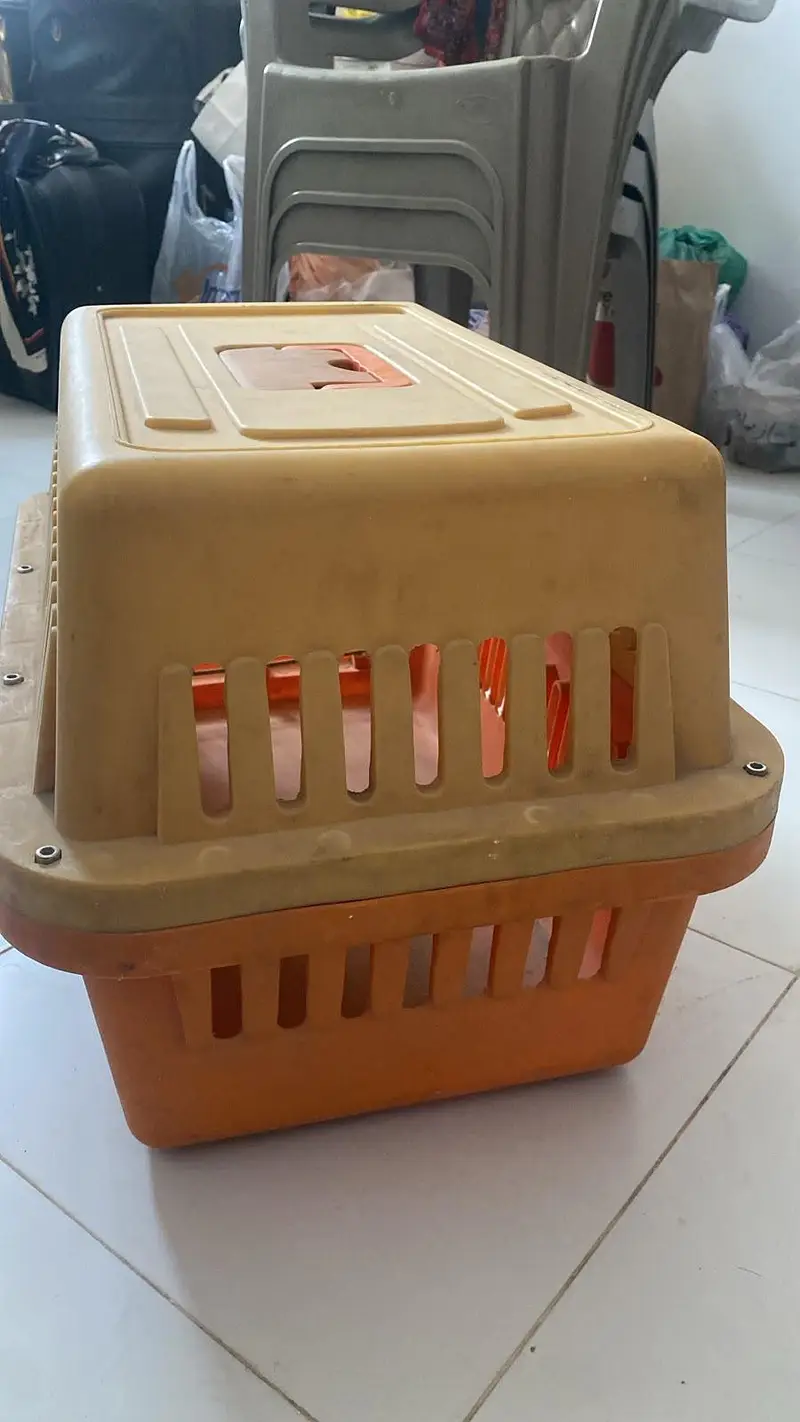 Pet Carrier / Cat-Dog Cage for Sale – Urgent — photo 4