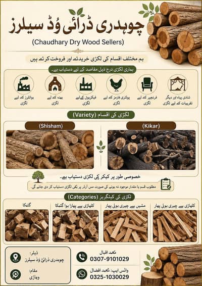 dry fire woods