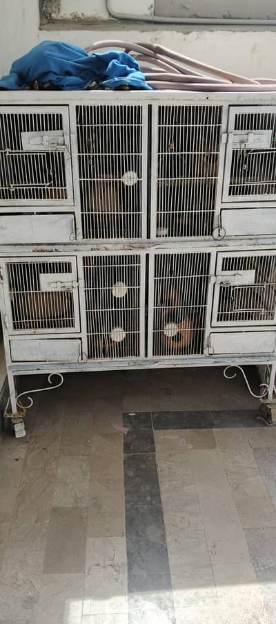 heavy duty birds cage