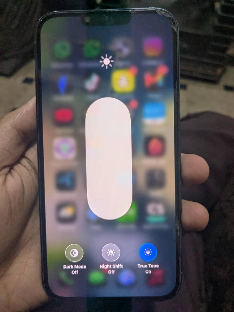 Apple iPhone 13 Pro Max 1