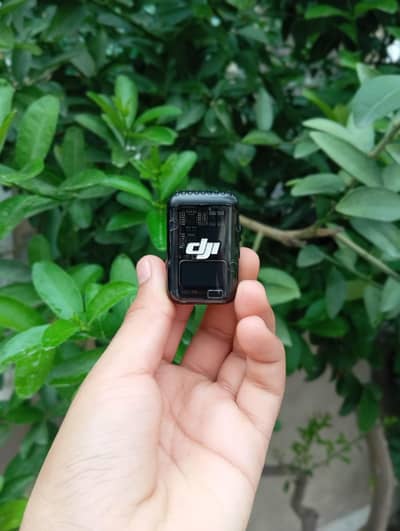 Mini Mic