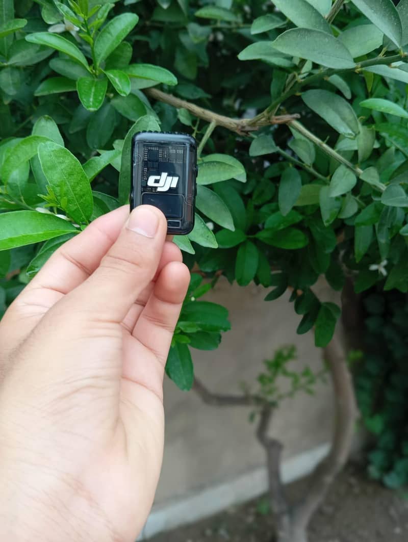 Mini Mic 1