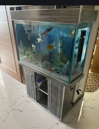 Aquarium for sale
