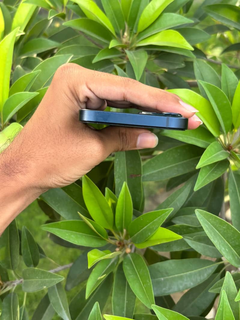 Apple iPhone 13 4