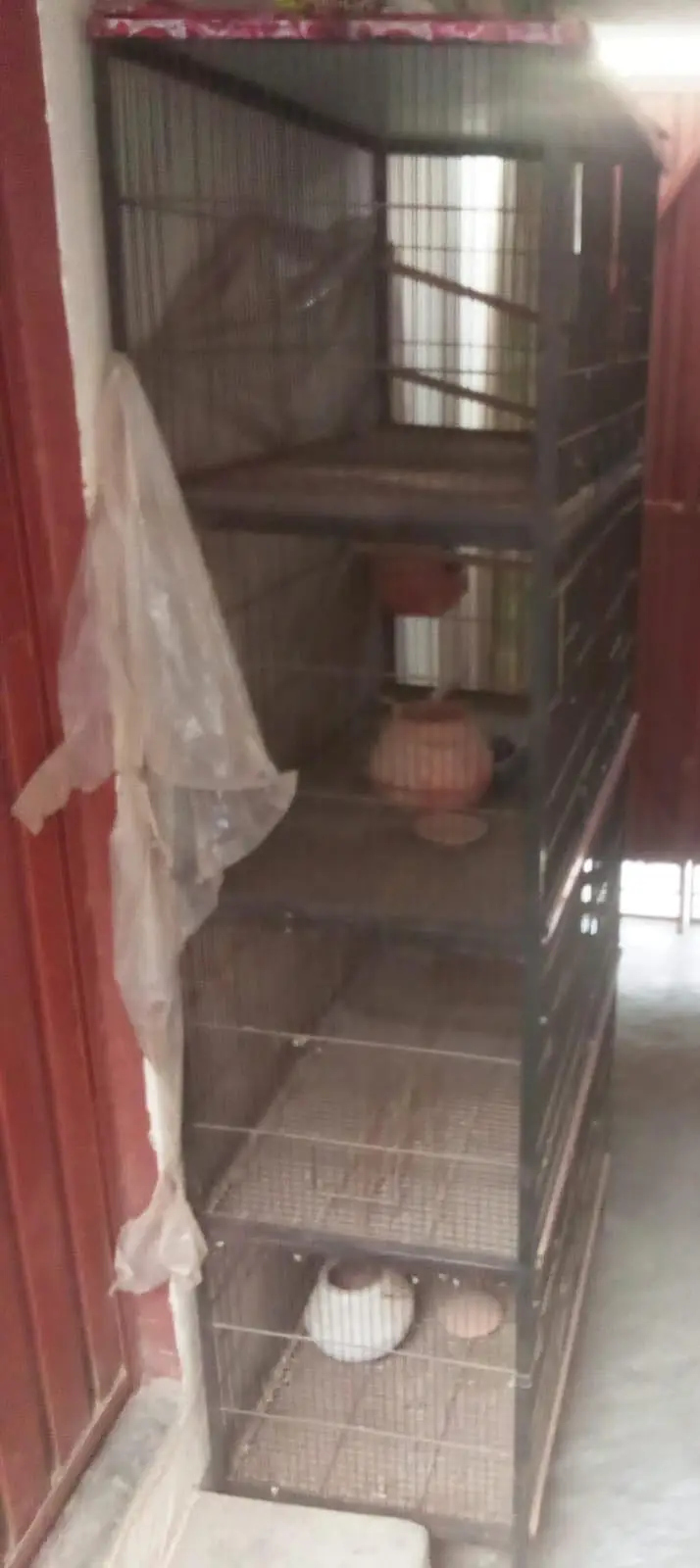 Parrots cage — photo 2