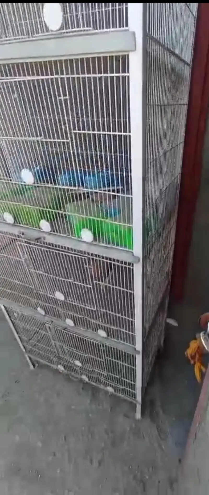 Cage 4 portion & 8 portion Cages — photo 2