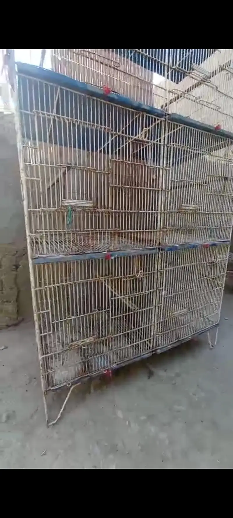 Cage 4 portion & 8 portion Cages — photo 4