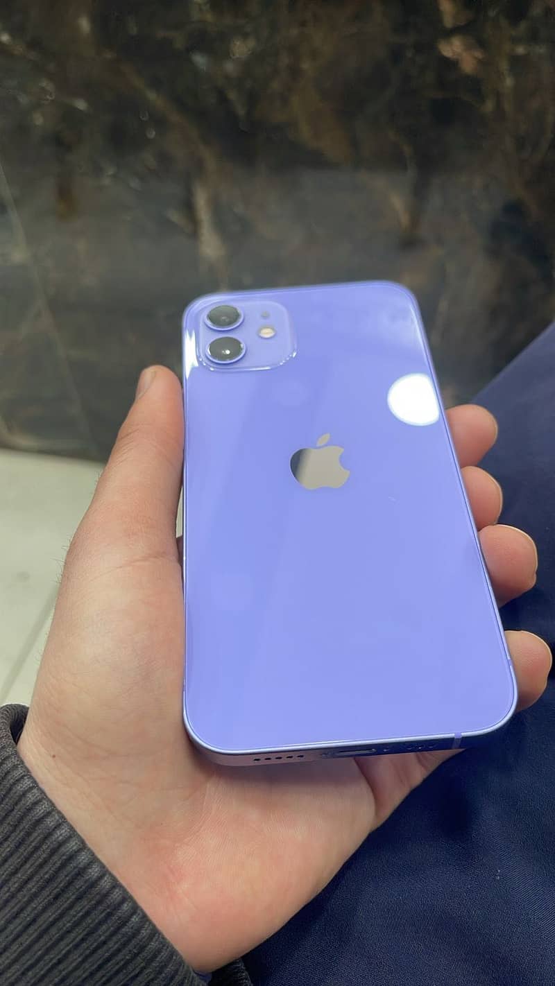 Apple iPhone 12 1