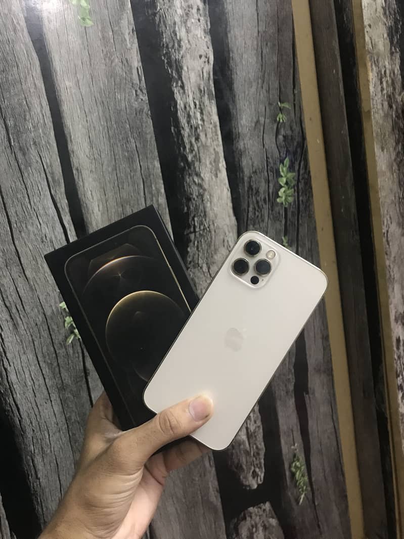 Apple iPhone 12 Pro 1
