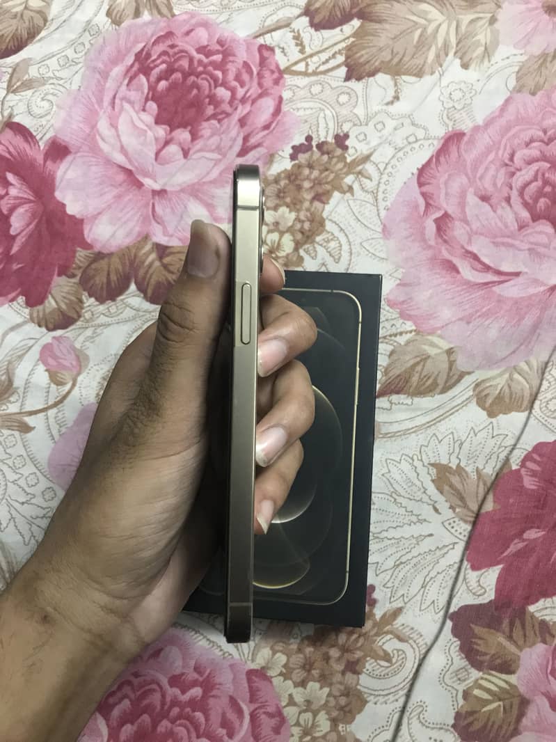 Apple iPhone 12 Pro 2