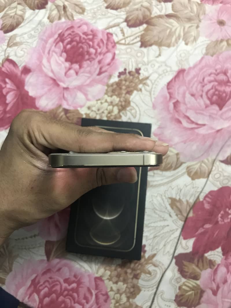 Apple iPhone 12 Pro 4