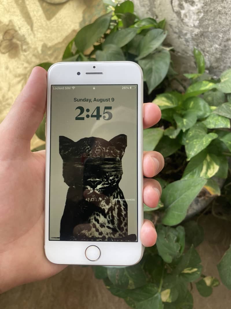 Apple iPhone 8 1