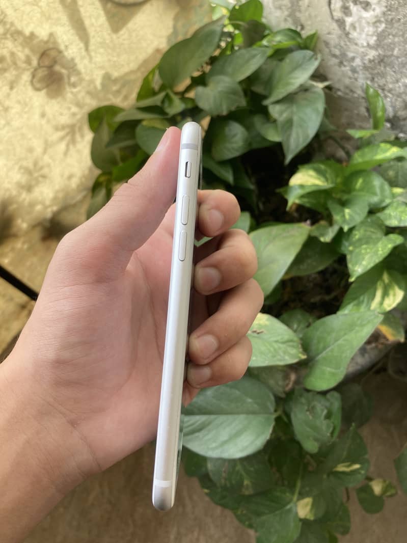 Apple iPhone 8 3