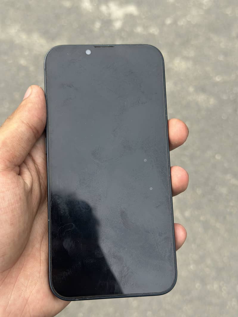 Apple iPhone 13 0