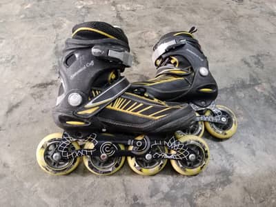 delta sports professional scating shoes