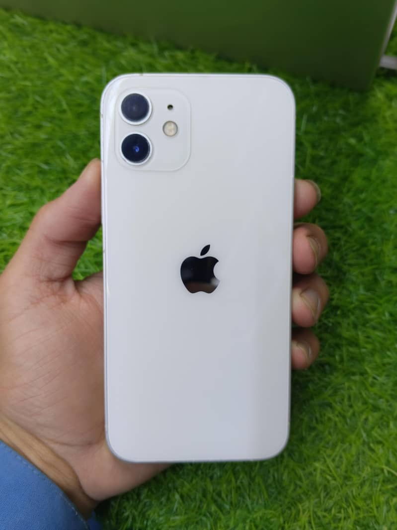Apple iPhone 12 1