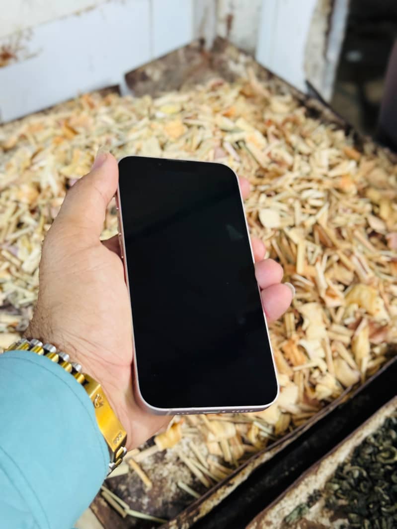 Apple iPhone 13 1