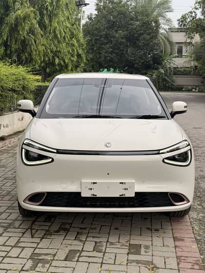 Dongfeng Box Flagship 430