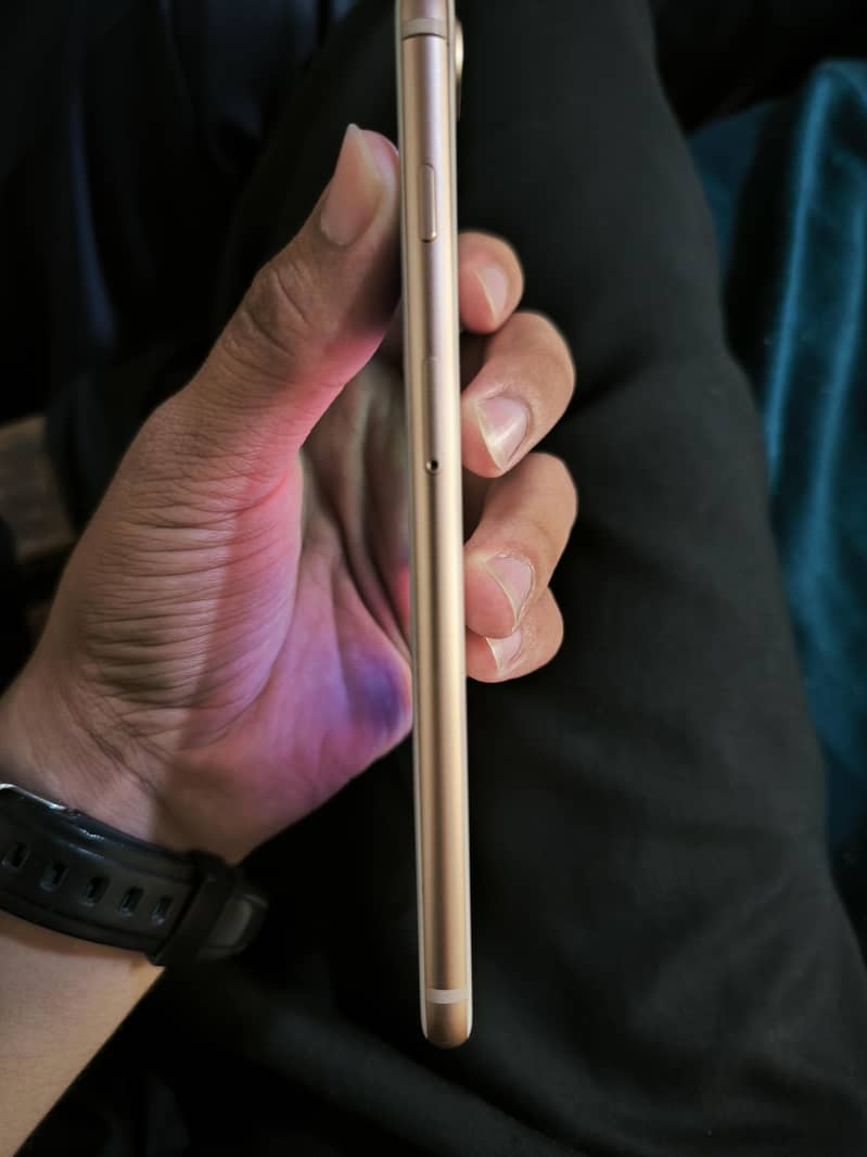 Apple iPhone 8 Plus 1