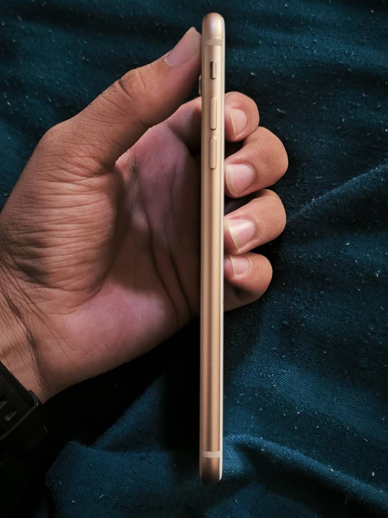 Apple iPhone 8 Plus 3